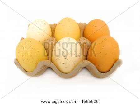 Eggs_Filtered organiques