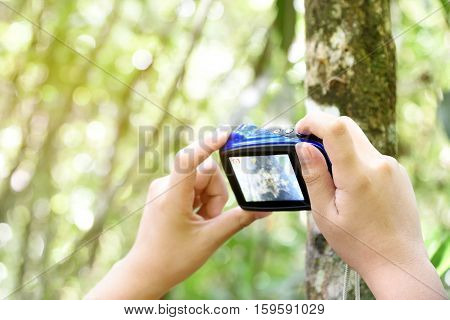 Boy's hand holding compact camera to take a photo. Young traveler man using digital camera outdoor take a picture. Focus on hand holding camera capture texture of tree. Copy space.