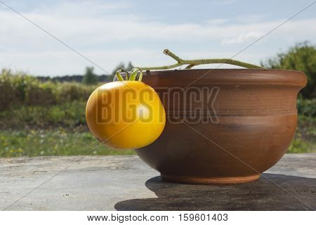 Brown ceramic pot on a background of the rural landscape