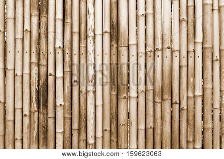 brown bamboo fence background. bamboo texture wall