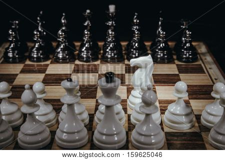 white horse isolated on background chess pieces