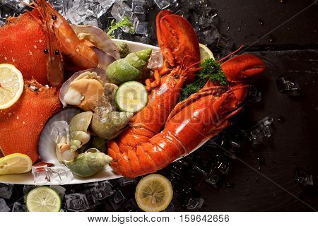 Seafood Lobster Plater On Slate