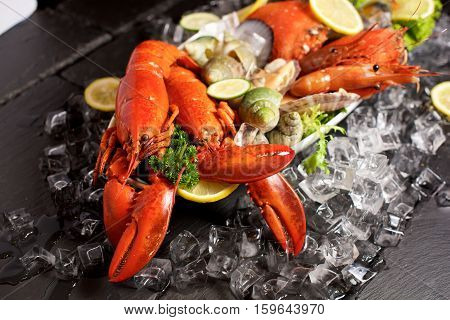 Seafood Lobster Plater On Slate