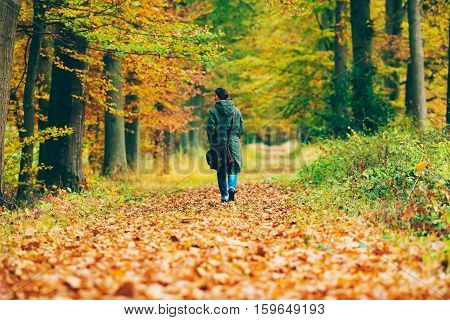 Female tourist walking in an autumn forest.