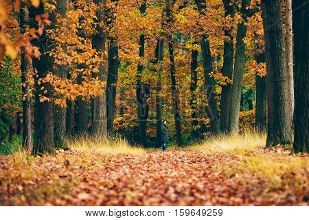 Woman Standing At The End Of Path In Autumn Forest.