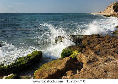 Mediterranean coast in southern Israel near the city of Ashkelon