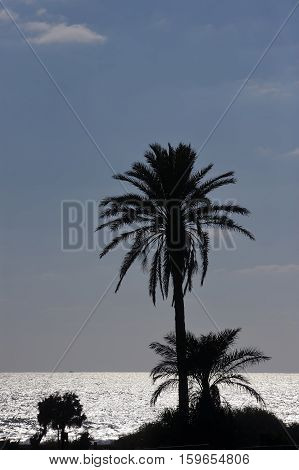 Mediterranean coast in southern Israel near the city of Ashkelon