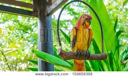 Parrot toy in the forest. Parrot on the perch in the garden.