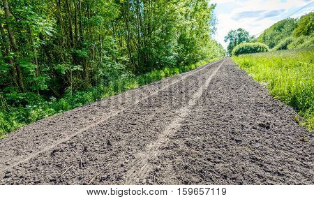 Tracks and traces in the loose sand of a country road in a small Dutch nature reserve on a sunny day in springtime.