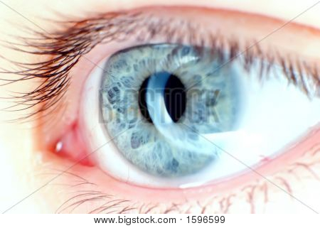 Blue Eye dans Macro