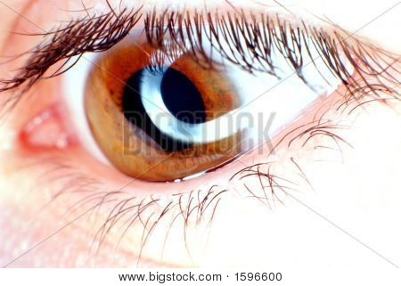 Yeux brun en Macro