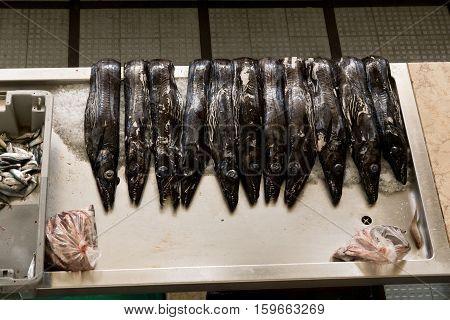Black scabbardfish - Aphanopus carbo - in the Fish Market Funchal, Portugal