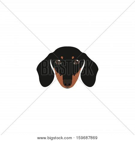 Black and brown head Dachshund Dog. Dog vector illustration.