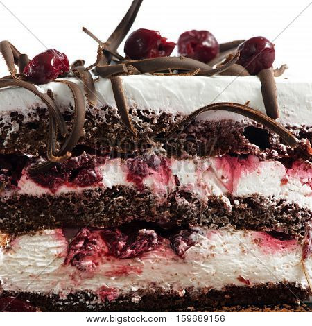 Side view or cross cake. Texture and used ingredient for this cake are visible. A professional food stylist was used for this image.