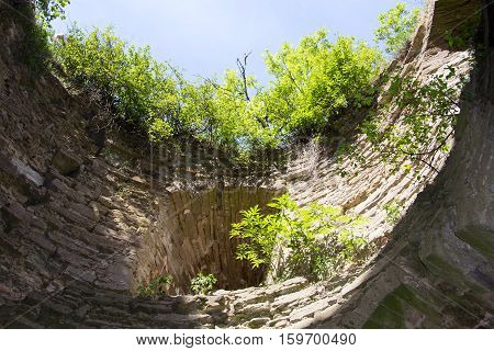Overgrown With Bushes And An Old Stone Fortress Of Koporye