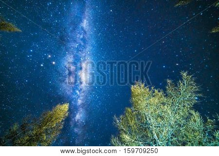Milky way from glentanner campsite New Zealand.