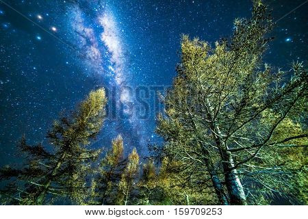 Milky way from glentanner campsite New Zealand.