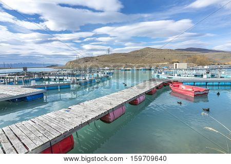 Salmon Fish farm floating on the glacial waters of Wairepo Arm Twizel South Island New Zealand