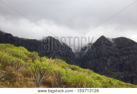 Gran Canaria, Nature Park Tamadaba