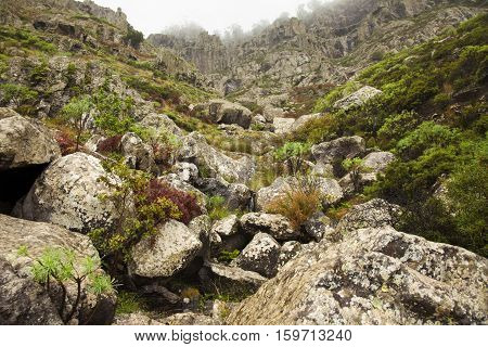 Gran Canaria, Nature Park Tamadaba