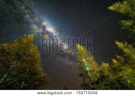 Milky way at Glentanner campsite, New Zealand