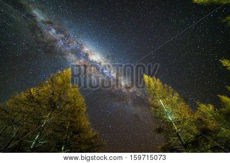 Milky way at Glentanner campsite, New Zealand