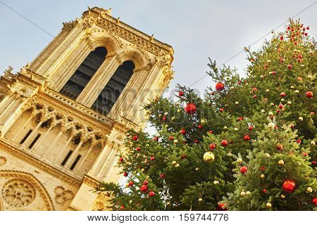 Holiday Season In Paris