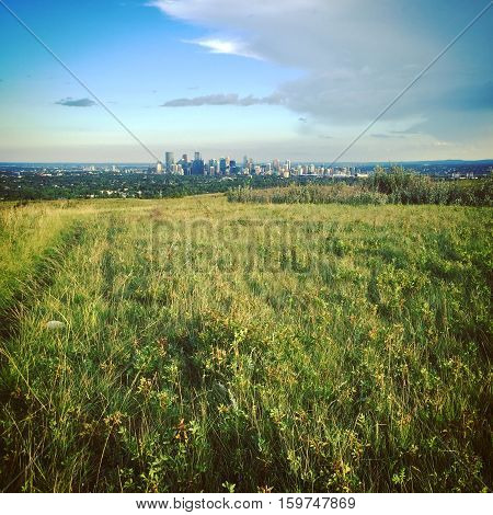 Summer field landscape with Calgary downtown buildings, bright blue sky and big grey cloud over horizon in background. Lush green summer field, hills and trees in foreground.