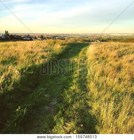 Wide path through bright prairie grass field at sunset with trees, colorful clouds, horizon and sky background. Summer sunset field landscape. Instagram effects.