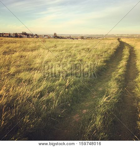 Wide path through bright prairie grass field at sunset with trees, colorful clouds, horizon and sky background. Summer sunset field landscape. Instagram effects.