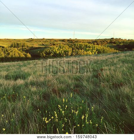 Landscape with lush vegetation and sunshine on hills in autumn. Clouds and light blue sky over sunset orange colored hills in background. Thick forest trees and lush green grass.Hills and valley.