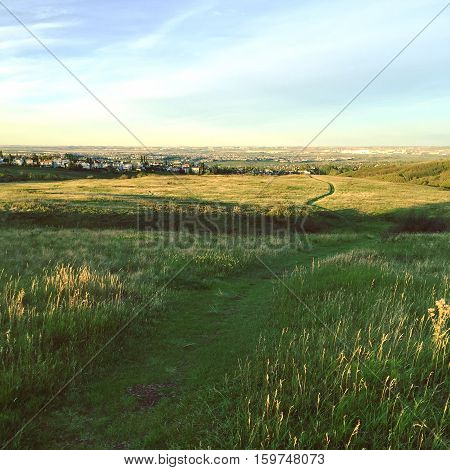 Wide path through bright prairie grass field at sunset with trees, colorful clouds, horizon and sky background. Summer sunset field landscape. Instagram effects.