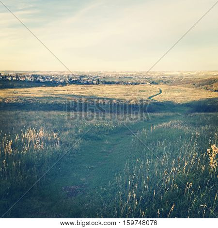 Wide path through bright prairie grass field at sunset with trees, colorful clouds, horizon and sky background. Summer sunset field landscape. Instagram effects.