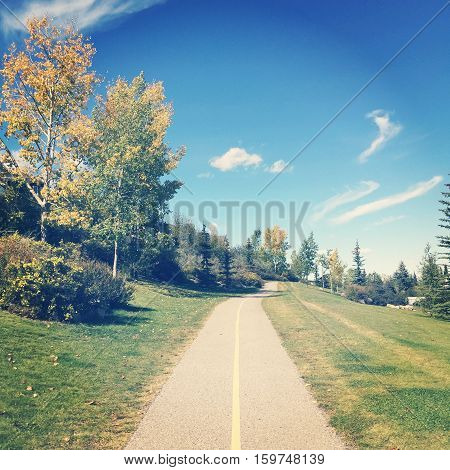 Park landscape paved trail and yellow line. Lush green grass and tall trees along trail. Blue sky and white clouds background.  Instagram effects.