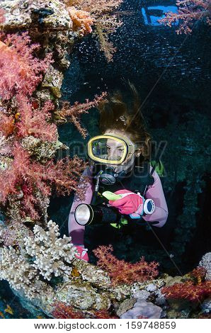 Diver Exploring Soft Corals of a Shipwreck 