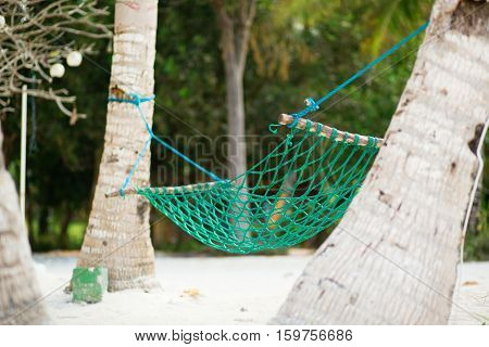 Palm Trees And Hammock On Perfect White Sand Beach
