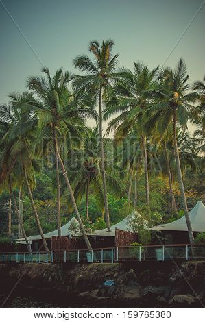 White bungalow on the background of palm trees