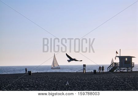 Gull flying freely over the beach with nice sky and boat