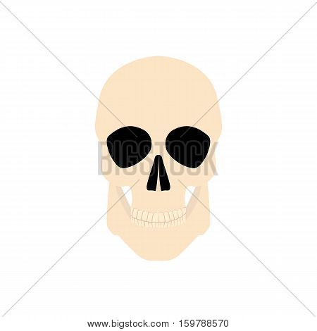 Icon human skull isolated on a white background
