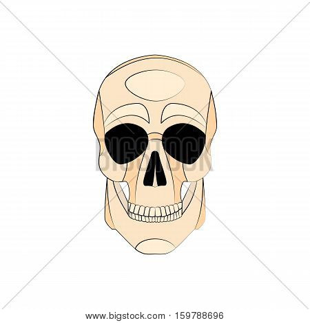 Icon human skull isolated on a white background