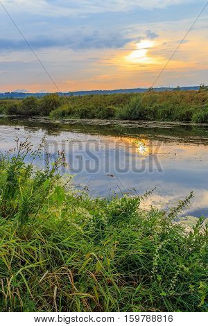 River bank at sunset, summer evening, vertical frame