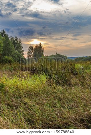 Field and edge of the forest at sunset, early autumn