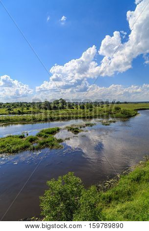 River outside the city on a windy summer day, vertical frame