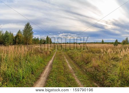 The road, field and forest edge in the early fall, horizontal frame