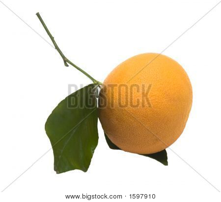Grapefrugt