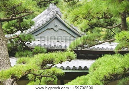 Japan, Tokyo, Tokyo Imperial Palace, Rooftop of Otemon (East Gate) seen through trees