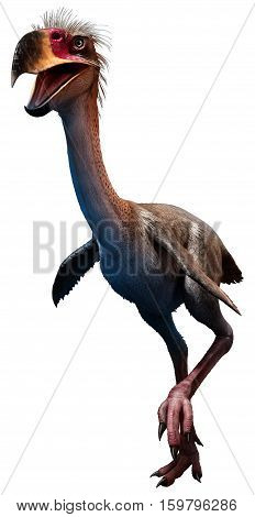 Phorusrhacos from the Miocene era 3D illustration