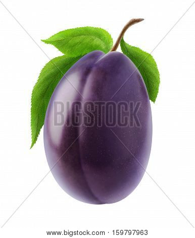 Isolated Blue Plum