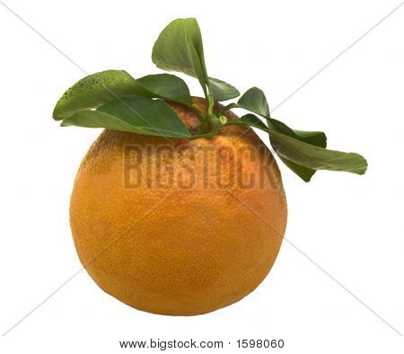 Grapefrugt