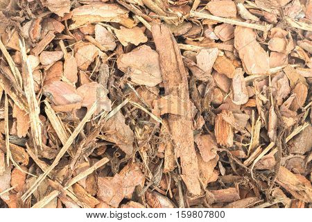 Pine tree bark pieces background. Broken woods chip nature texture